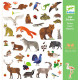 Stickers "Faune" Djeco 9285