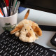 Mini peluche chien SIGIKID 42590