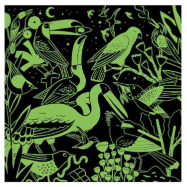 Puzzle qui Brille dans le Noir "Oiseaux" 500 pcs Mudpuppy