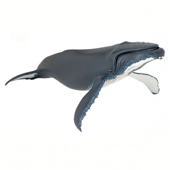 Baleine à bosse, figurine PAPO 56001