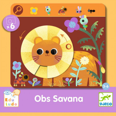 Obs Savana - jeu Eduludo DJECO 8234
