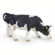 Vache noire et blanche broutant, PAPO 51150