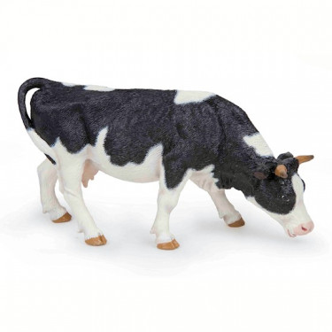 Vache noire et blanche broutant, PAPO 51150