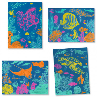 Coffret cyanotype "Outremer" DJECO 9353