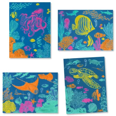 Coffret cyanotype "Outremer" DJECO 9353
