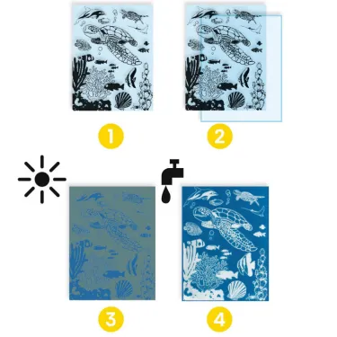 Coffret cyanotype "Outremer" DJECO 9353
