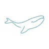 Baleine theLine