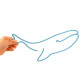 Baleine theLine