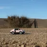 Voiture Playforever Luft Pop rose