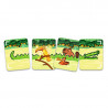 SAFARI CROCO - jeu de cartes DJECO 5077
