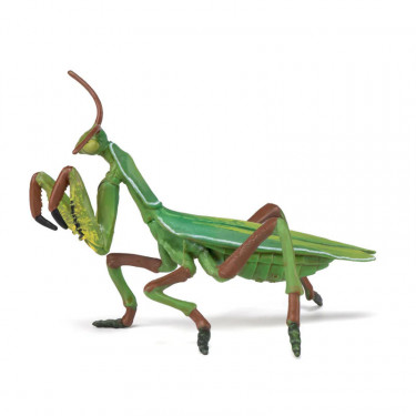 Mante religieuse, figurine PAPO 50244