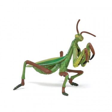 Mante religieuse, figurine PAPO 50244