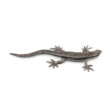 Lézard commun, figurine PAPO 50300