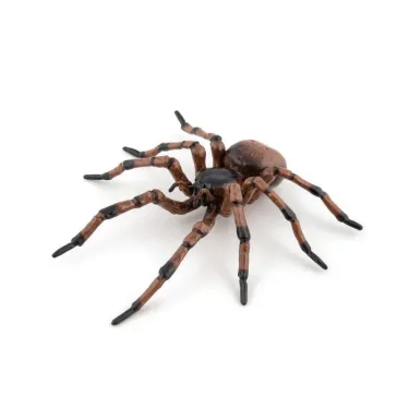 Araignée commune figurine PAPO 50292