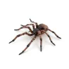 Araignée commune figurine PAPO 50292