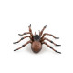 Araignée commune figurine PAPO 50292