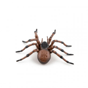 Araignée commune figurine PAPO 50292