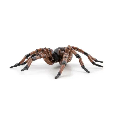 Araignée commune figurine PAPO 50292