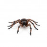 Araignée commune figurine PAPO 50292