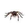 Araignée commune figurine PAPO 50292