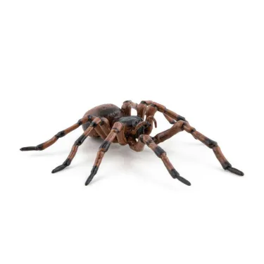 Araignée commune figurine PAPO 50292