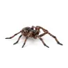 Araignée commune figurine PAPO 50292