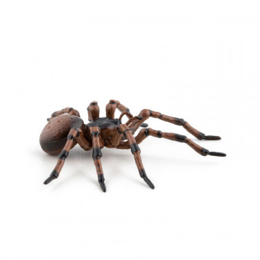 Araignée commune figurine PAPO 50292