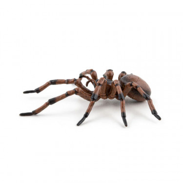 Araignée commune figurine PAPO 50292