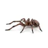 Araignée commune figurine PAPO 50292