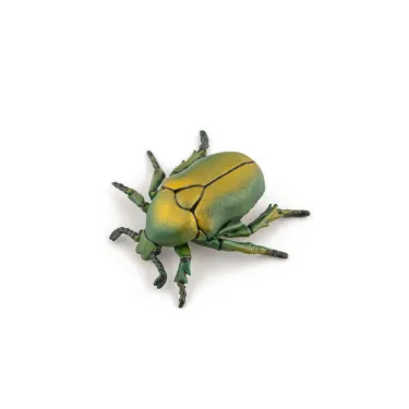 Cétoine dorée, figurine d'insecte PAPO 50290