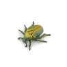 Cétoine dorée, figurine d'insecte PAPO 50290
