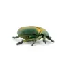 Cétoine dorée, figurine d'insecte PAPO 50290