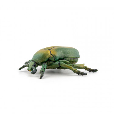 Cétoine dorée, figurine d'insecte PAPO 50290