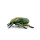 Cétoine dorée, figurine d'insecte PAPO 50290