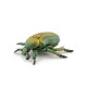 Cétoine dorée, figurine d'insecte PAPO 50290