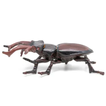 Lucane cerf-volant, figurine d'insecte PAPO 50281
