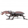 Lucane cerf-volant, figurine d'insecte PAPO 50281
