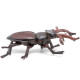 Lucane cerf-volant, figurine d'insecte PAPO 50281