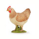 Poule PAPO 51159