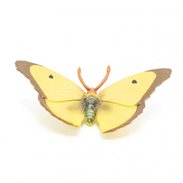 Papillon Souci, figurine PAPO 50288