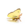 Papillon Souci, figurine PAPO 50288