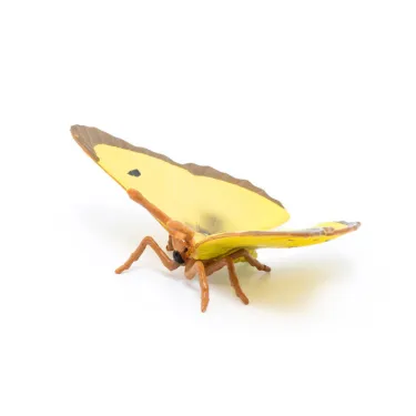 Papillon Souci, figurine PAPO 50288