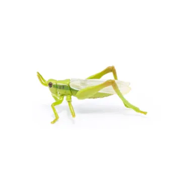 Sauterelle, figurine PAPO 50268