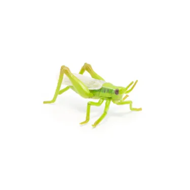 Sauterelle, figurine PAPO 50268