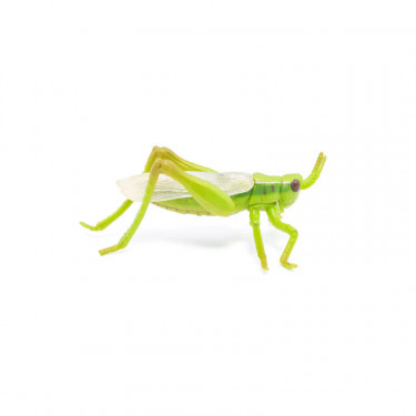 Sauterelle, figurine PAPO 50268