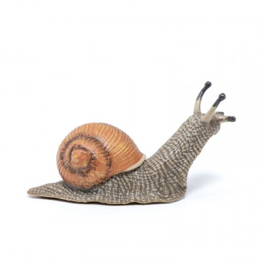 Escargot, figurine PAPO 50262