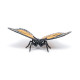Papillon, figurine PAPO 50260