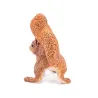 Ecureuil, figurine PAPO 50255