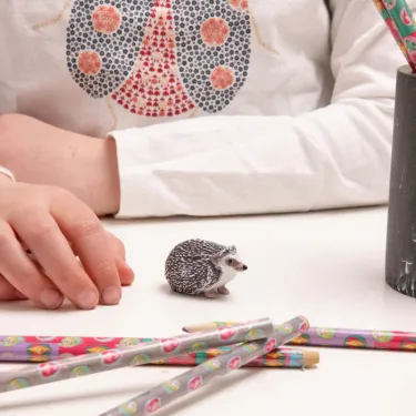 Hérisson, figurine PAPO 50245