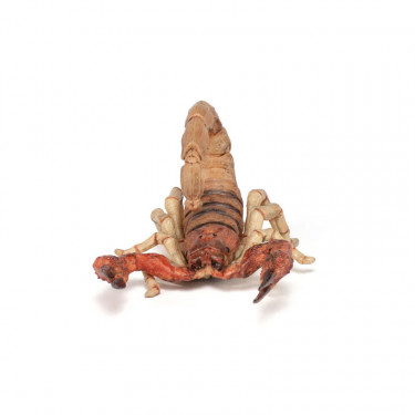 Scorpion, figurine PAPO 50209